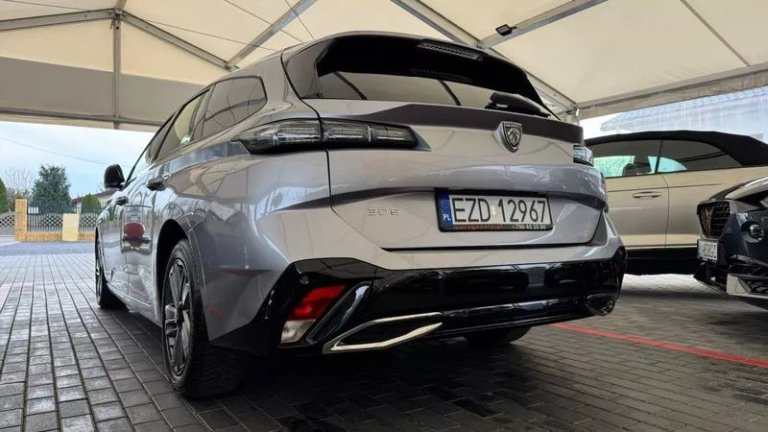 peugeot-308-15-bluehdi-active-pack-business-ss (31)