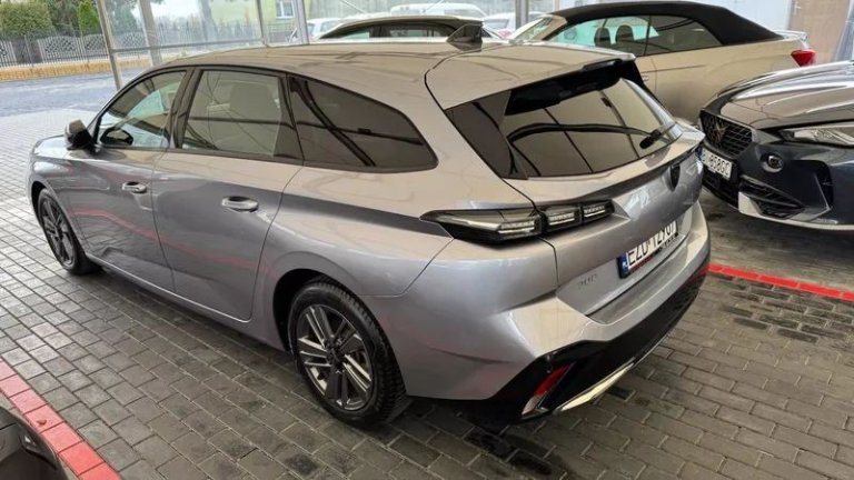 peugeot-308-15-bluehdi-active-pack-business-ss (32)