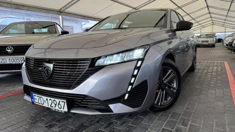 peugeot-308-15-bluehdi-active-pack-business-ss (33)