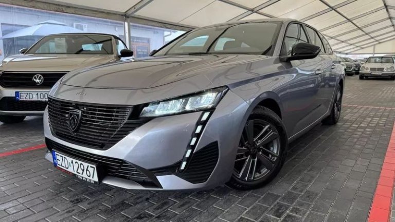 peugeot-308-15-bluehdi-active-pack-business-ss (34)