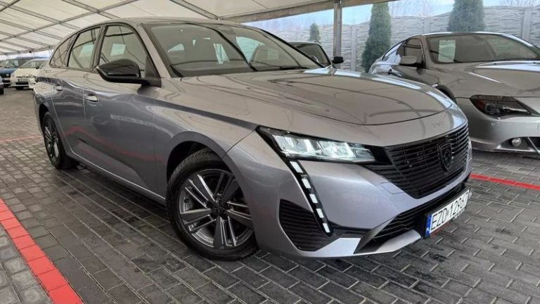 peugeot-308-15-bluehdi-active-pack-business-ss (35)