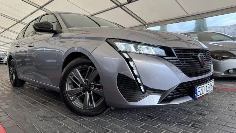 peugeot-308-15-bluehdi-active-pack-business-ss (36)