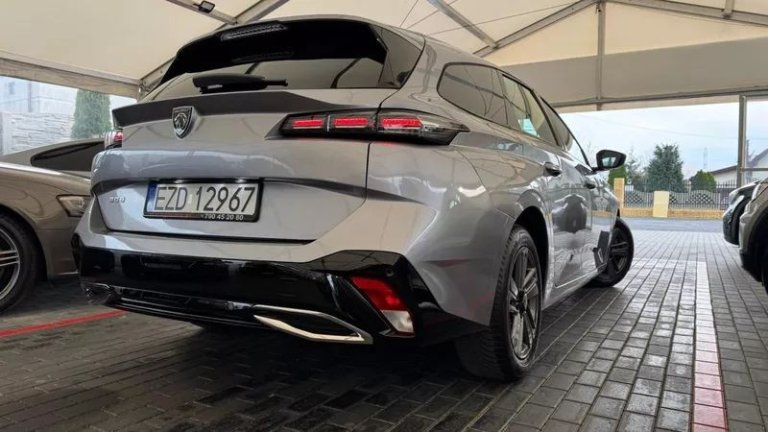 peugeot-308-15-bluehdi-active-pack-business-ss (38)