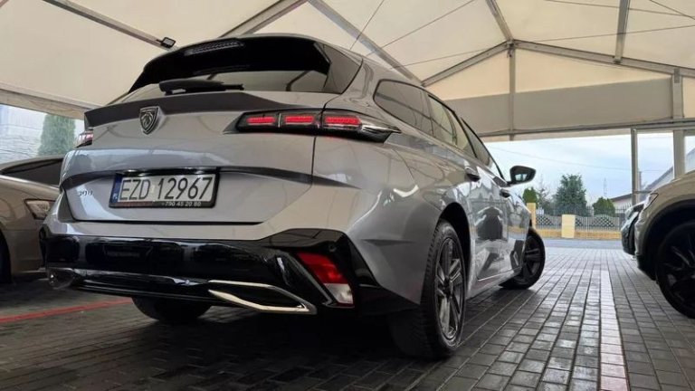 peugeot-308-15-bluehdi-active-pack-business-ss (39)